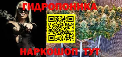 mdpv Мариинск