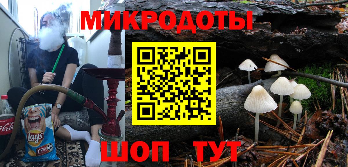 Псилоцибиновые грибы Psilocybe Выборг