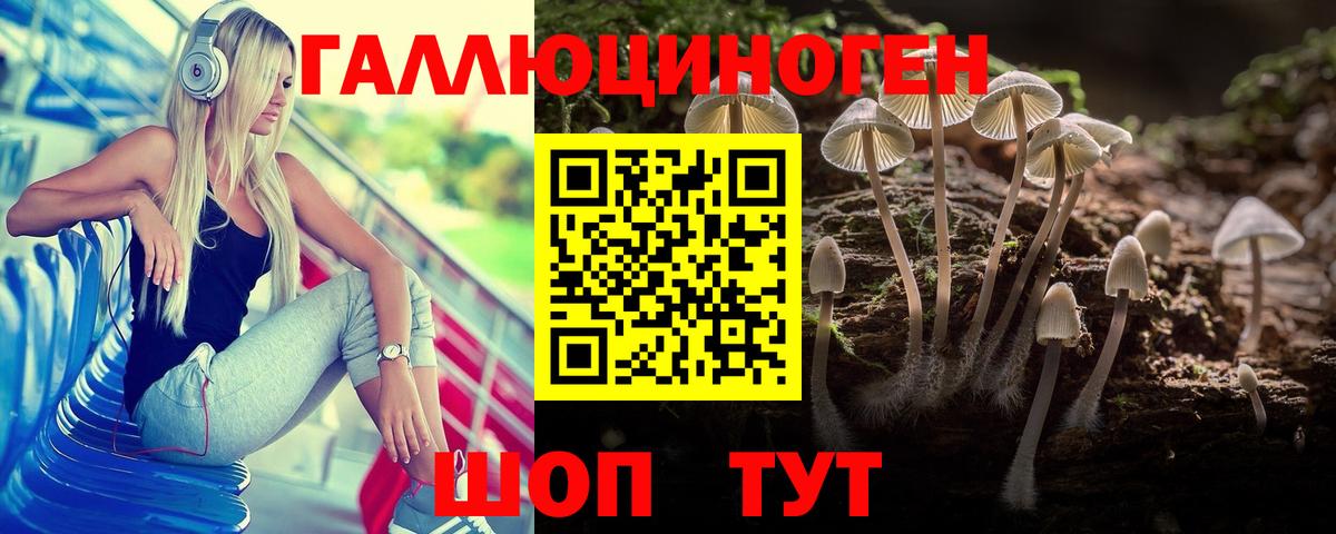 Псилоцибиновые грибы Psilocybe  Вход с VPN  Выборг  Галлюциногенные грибы прущие грибы 